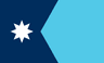 Minnesota flag