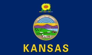 Kansas state flag